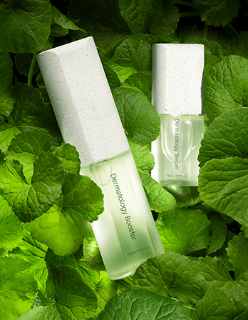 Incellderm ICD Dermatology First Package - RIMAN KBeauty